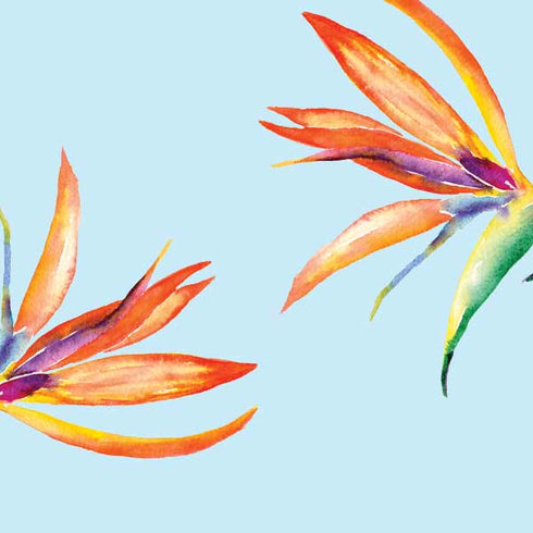 Birds of Paradise Summer Surface Book 2 15in Skin